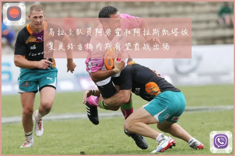 乌拉圭队员阿劳霍和阿拉斯凯塔恢复良好吉梅内斯有望首战出场