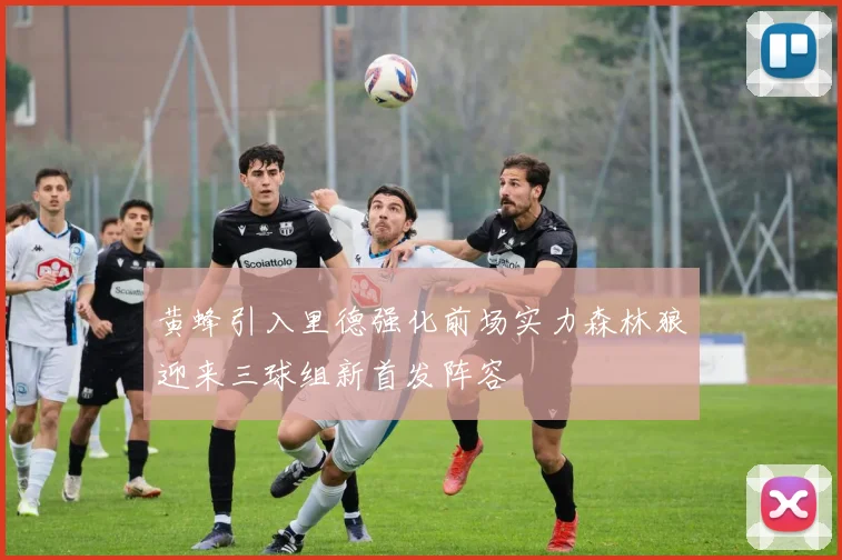 黄蜂引入里德强化前场实力森林狼迎来三球组新首发阵容