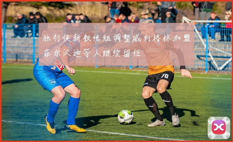 独行侠新教练组调整威利格林加盟菲尔汉迪等人继续留任