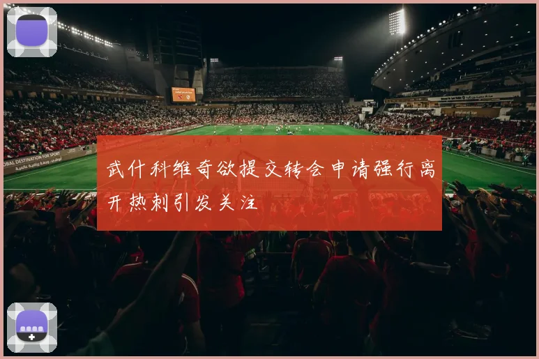 武什科维奇欲提交转会申请强行离开热刺引发关注